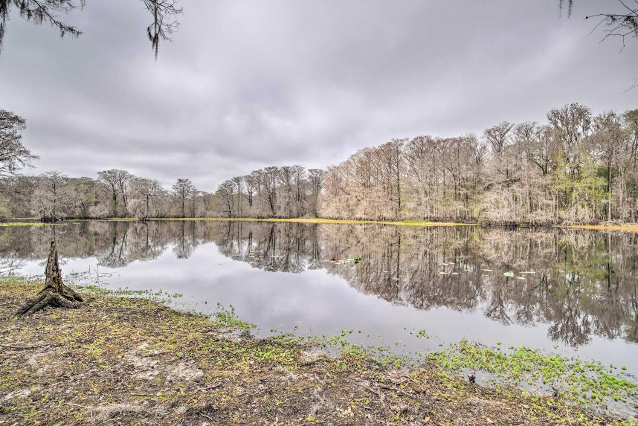 Unplugged Withlacoochee Riverfront Retreat! Bushnell المظهر الخارجي الصورة